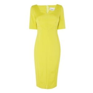 LK Bennett LANDER FITTED SEAMED DRESS
